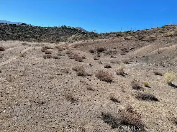 Acton, CA 93510,0 Vac/Vic 57th Stw/Ave W14