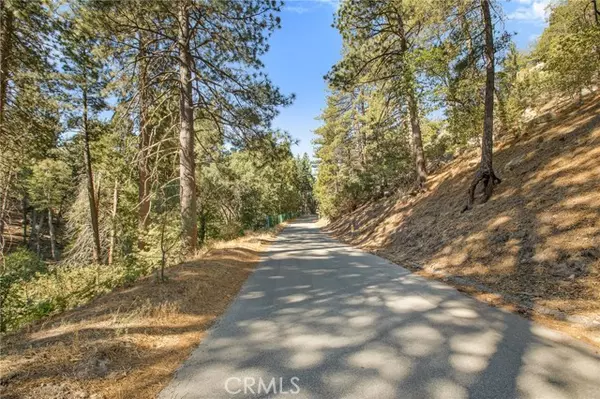 Cedar Glen, CA 92352,0 Torrey RD