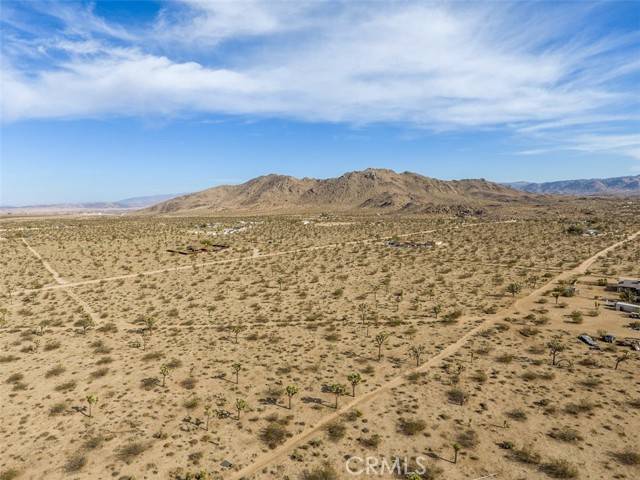 Yucca Valley, CA 92284,59970 Campanula ST