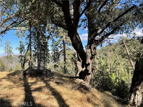 Cedarpines Park, CA 92322,5 Deer Run RD