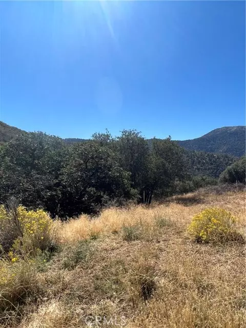 Tehachapi, CA 93561,23000 Constance WAY