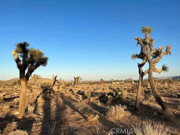 Yucca Valley, CA 92284,2801 Avalon AVE