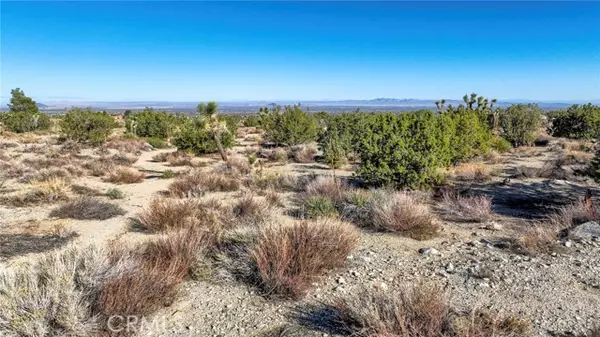 0 Primavera, Pinon Hills, CA 92372