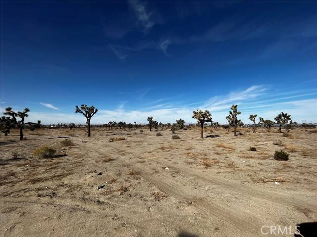 0 Arcadia, Pinon Hills, CA 92372