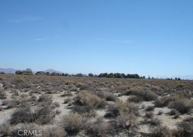 0 Bear Valley / Duncan RD, Victorville, CA 92371