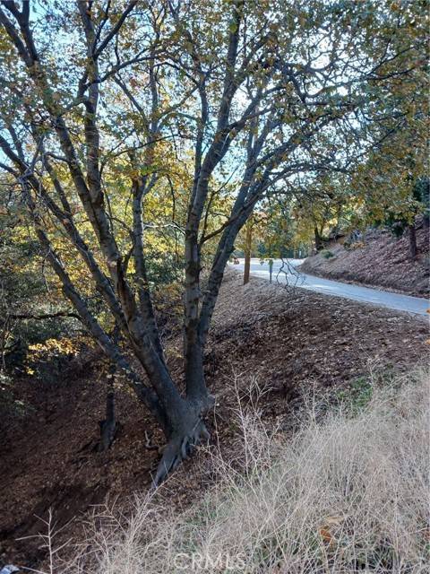 Crestline, CA 92325,24764 Edelwiess DR