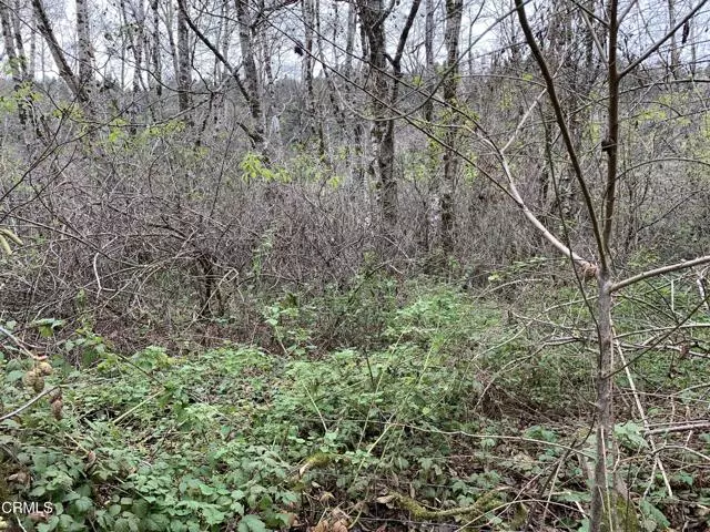 0 Hwy 128, Albion, CA 95410