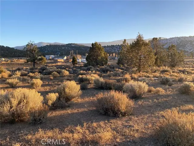 46577 Pelican DR, Big Bear City, CA 92314