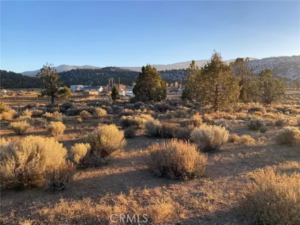 Big Bear City, CA 92314,46577 Pelican DR