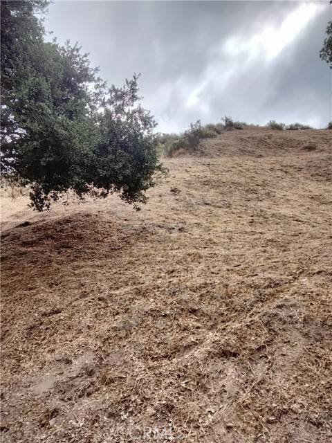 Sylmar, CA 91342,0 KAGEL CYN