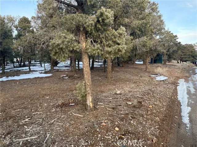 Big Bear City, CA 92314,706 Indian TRL