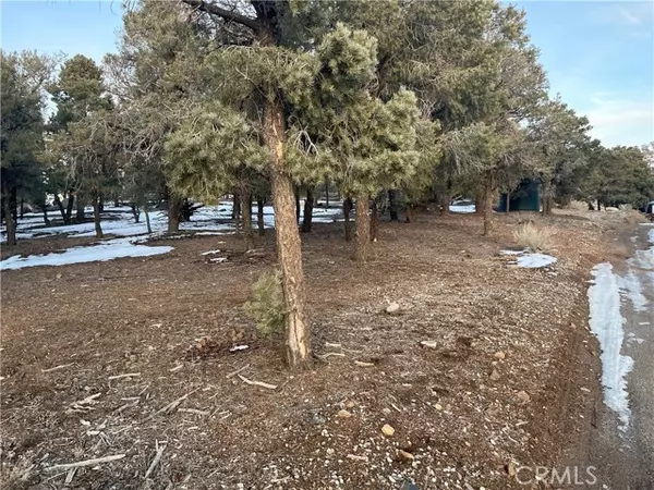 Big Bear City, CA 92314,706 Indian TRL