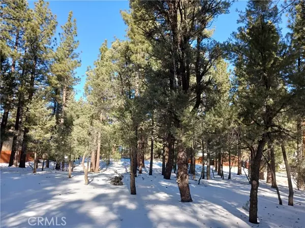 Big Bear City, CA 92314,1270 Skyview CT