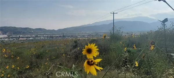 Devore, CA 92407,0 Meyers