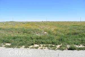 Antelope Acres, CA 93536,11000 Vac/110 Stw/Vic Avenue C4