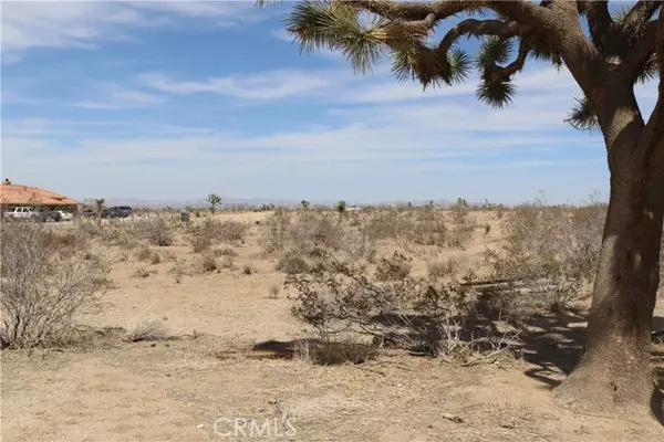 Phelan, CA 92371,0 Lot 01, Olivine RD