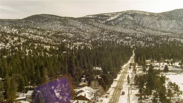 Big Bear City, CA 92314,1000 Willow LN