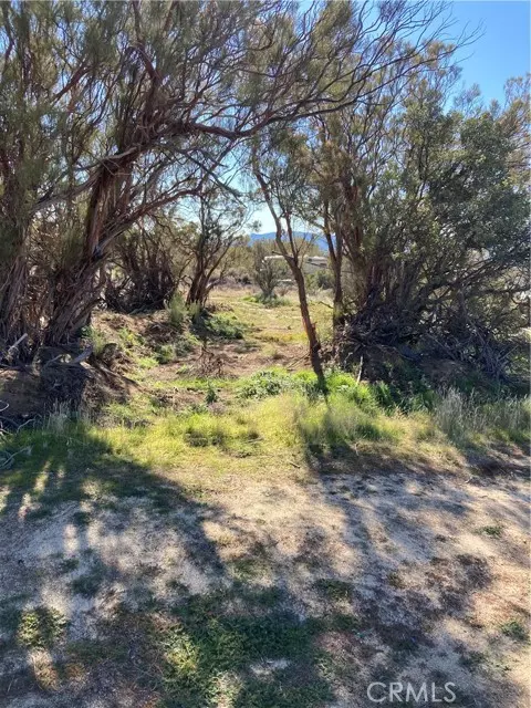 Anza, CA 92539,38 Granite Gulley