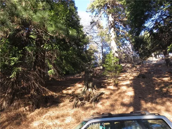 Cedarpines Park, CA 92322,0 Peak CIR