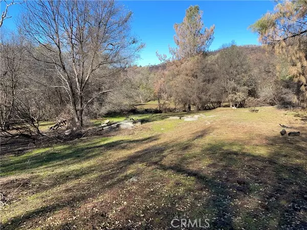 705 Triangle RD, Mariposa, CA 95338