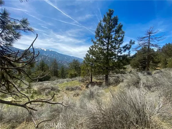 Tehachapi, CA 93561,16551 Jungfrau WAY