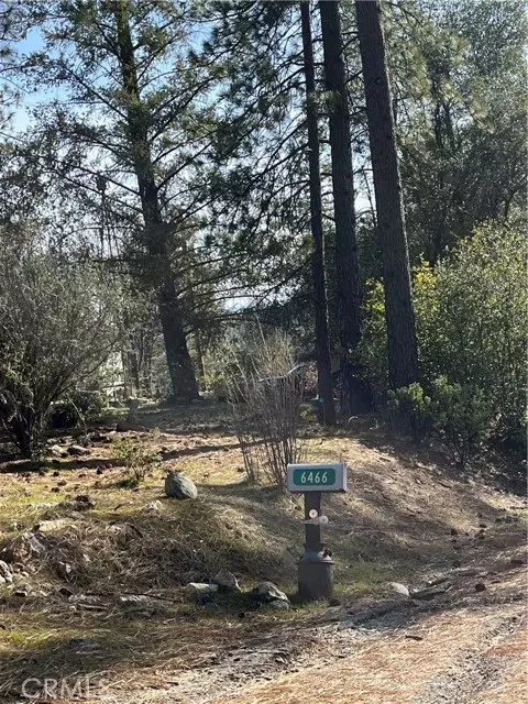 Coulterville, CA 95311,6466 Dogtown RD