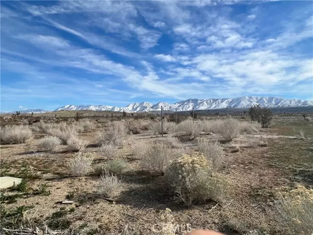 0 Vac/Ave V8 Pav /Vic 107th Ste, Pearblossom, CA 93553