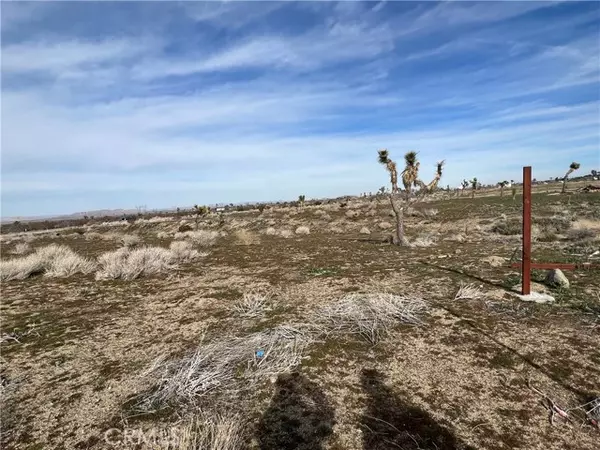 Pearblossom, CA 93553,0 Vac/Ave V8 Pav /Vic 107th Ste