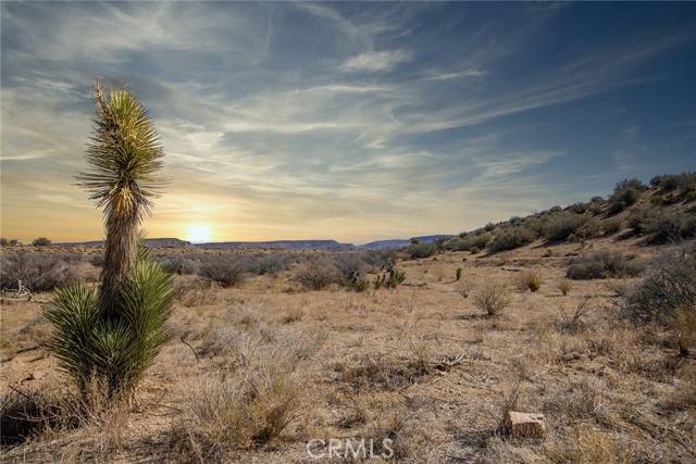 50600 Burns Canyon RD, Pioneertown, CA 92268