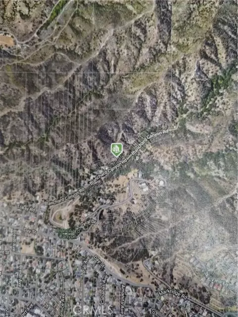 Tujunga, CA 91402,0 0 Black Walnut