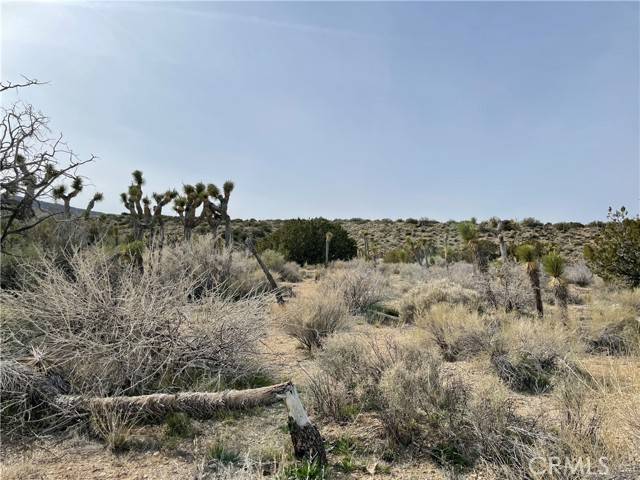Llano, CA 93544,0 Vac/Vic Avenue Z8/241 Ste