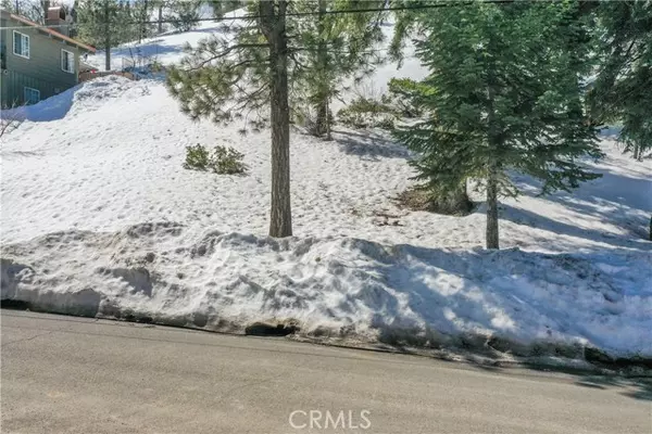 Big Bear Lake, CA 92315,43493 Sand Canyon RD