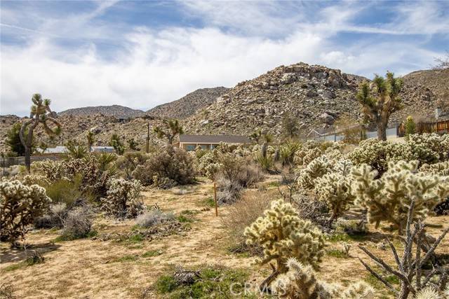 Joshua Tree, CA 92252,61100 Sandalwood TRL
