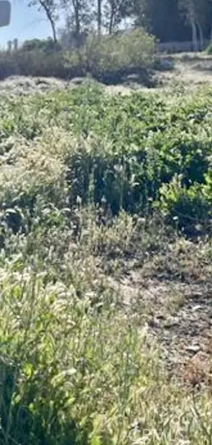 Winchester, CA 92595,0 Sidney Circle/Field Rd