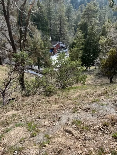 Crestline, CA 92391,818 Berne