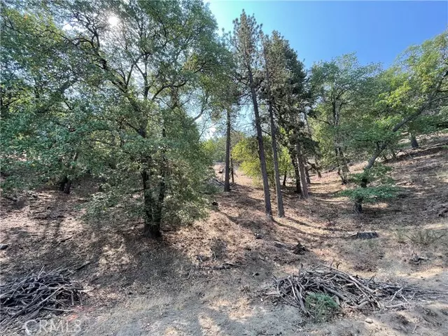 16840 Interlaken ST, Tehachapi, CA 93561