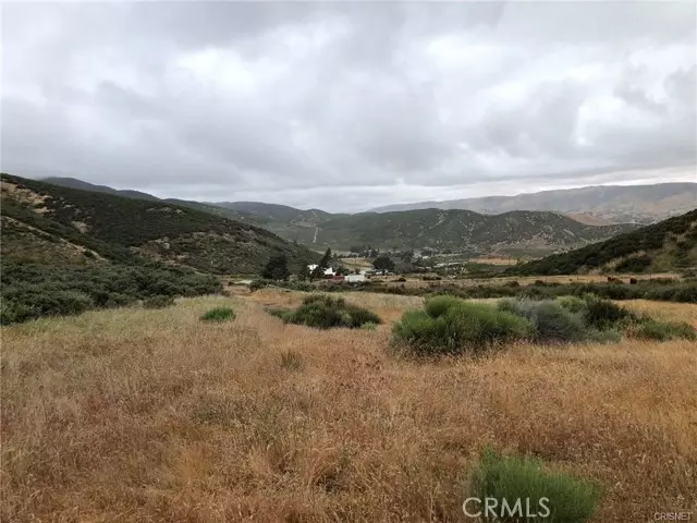 80 Vac/Vic Avenue Q/80 Stw, Leona Valley, CA 93551