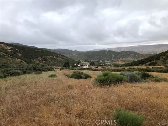 Leona Valley, CA 93551,80 Vac/Vic Avenue Q/80 Stw