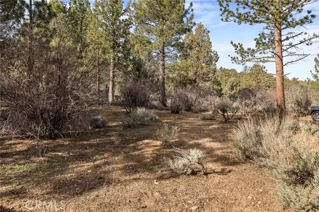 0 Skyview DR, Big Bear City, CA 92314