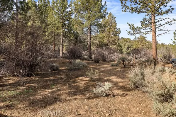 Big Bear City, CA 92314,0 Skyview DR