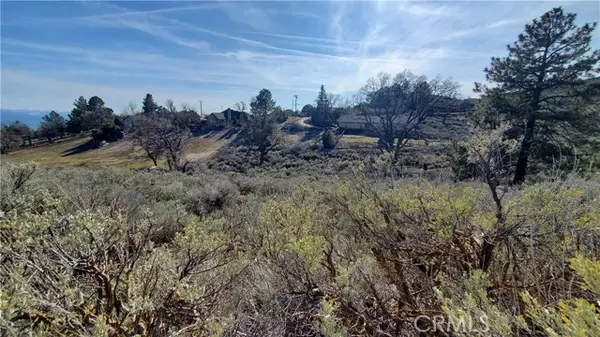 Tehachapi, CA 93561,25041 Jacaranda DR
