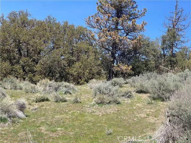 Tehachapi, CA 93561,25301 Paramount DR