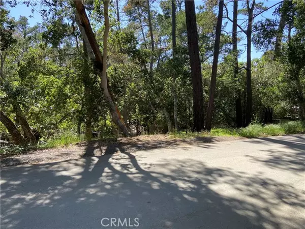 Cambria, CA 93428,0 Langton ST