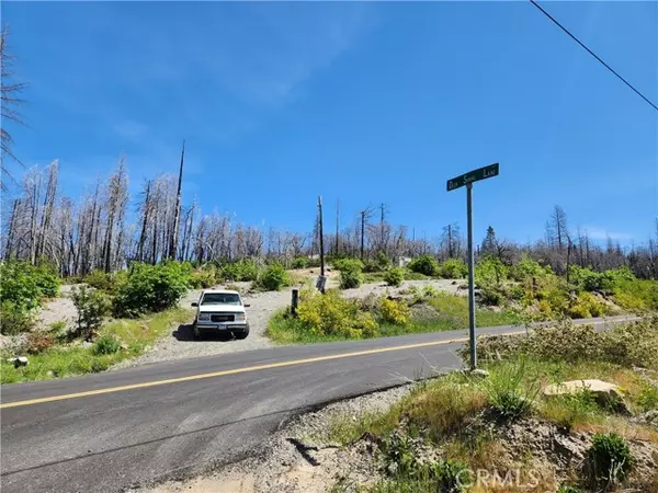 2175 Bald Rock RD, Berry Creek, CA 95916