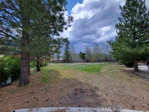 0 Pinto CT, Big Bear Lake, CA 92315