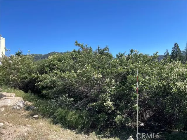 Cedar Glen, CA 92321,17 Lot 17 Lupin WAY