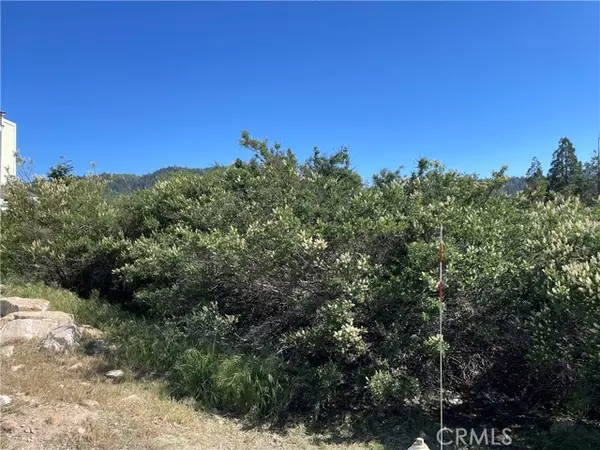 17 Lot 17 Lupin WAY,  Cedar Glen,  CA 92321