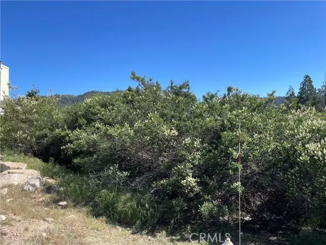 Cedar Glen, CA 92321,17 Lot 17 Lupin WAY