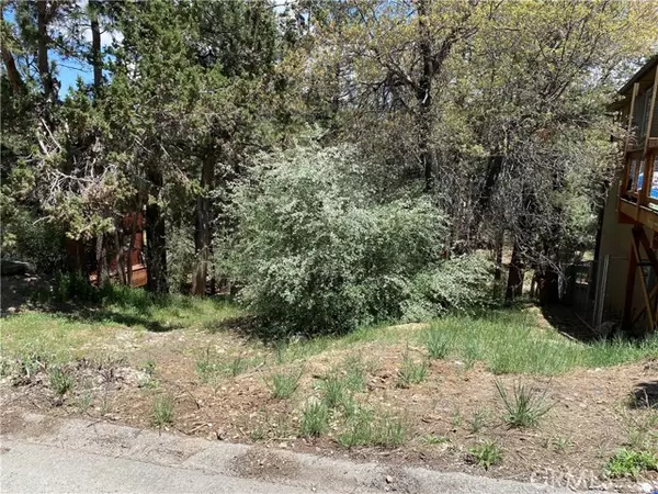 0 Imperial AVE, Sugarloaf, CA 92386