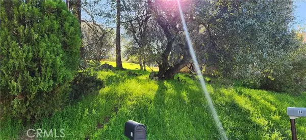 Oroville, CA 95966,0 La Foret DR